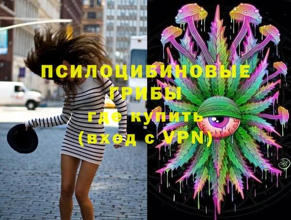 apvp Балахна