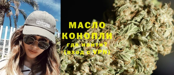 индика Лабытнанги