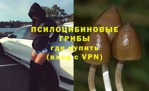 apvp Балахна